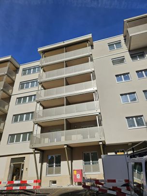 Mehrere renovierte 2.5-Zimmer-Wohnungen im Quartier Beauregard - Photo 1