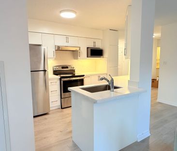 For Lease - 24 Wellesley Street Unit# 212, Toronto, Ontario - Photo 1