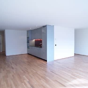 1.5 Zimmer, 41 m², 1. Stock - Foto 4