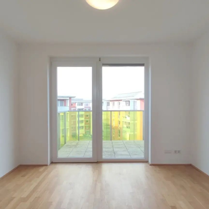 Mitten in Linz und doch so grün - schön & praktisch Wohnen - Photo 1