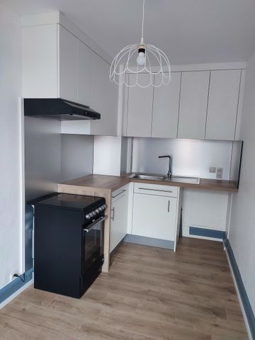 Location Appartement 1 pièce 30m² ALTKIRCH 68130 - Photo 4