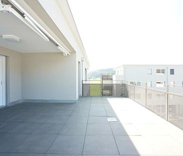 neuwertige, naturnahe 2.5 Zimmer-Attikawohnung mit riesiger Terrasse - Foto 1