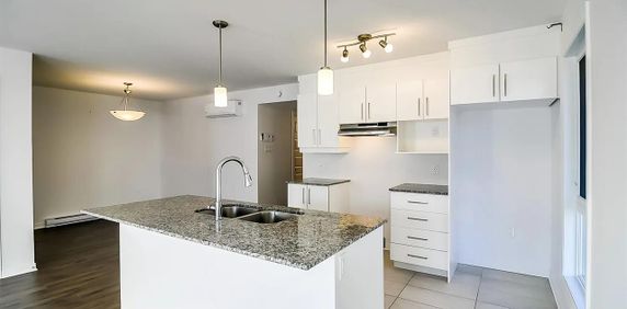 229 Boulevard D'amsterdam (Gatineau) Super Appartement 5 1/2 - Photo 2