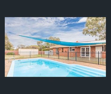 Neat as a Pin - 3x1x2 withg Pool - Photo 6