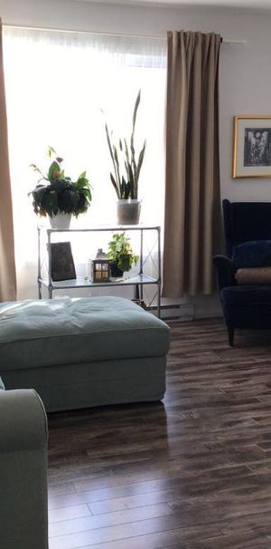 Grand 5 1/2 a louer St-Jérome, a partir du 1 décembre ou 1er janvier. Endroit tranquille avec locataires établies depuis plusieurs année. Parcs a roxi - Photo 1