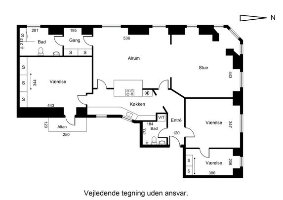 Stor herskabslejlighed i centrum - Photo 1