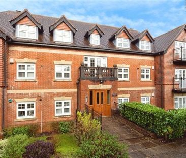 Forest Road - Photo 5