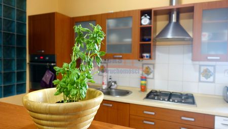 Centrum, ul. Kaszubska, Szczecin - Zdjęcie 4