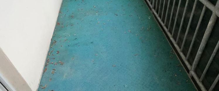 Nähe Park der Generationen, 2-Zimmer-Whg. mit Balkon - Photo 1