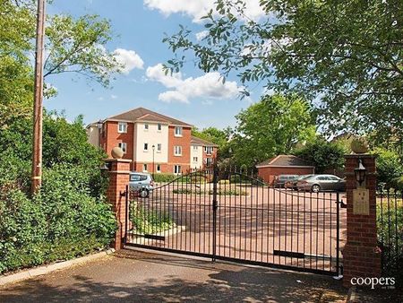 3 bedroom apartment - Photo 5