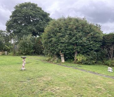 2 bedroom detached house to rent - Photo 5