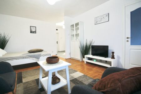 TEIUL DOAMNEI-BERECHET, RENOVATA MOBILATA MODERN, 0%COMISION - Fotografie 2