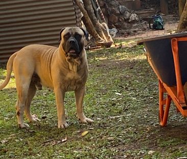 Trinity Beach - Photo 3