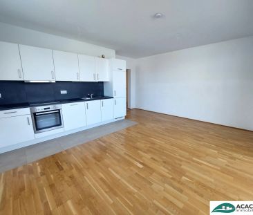 große 3-Zimmerwohnung mit optimalem Grundriss im Wohnpark Tullnerfe... - Photo 2