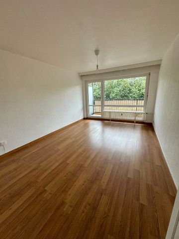 Location appartement 48.72 m², Metz 57000Moselle - Photo 3