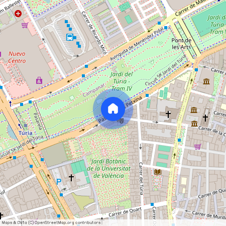 Passeig de la Petxina, Valencia, Valencian Community 46008