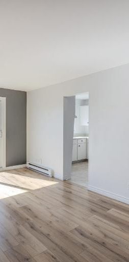 Appartement 3 ½ à louer Lévis novembre 2025 - Photo 1