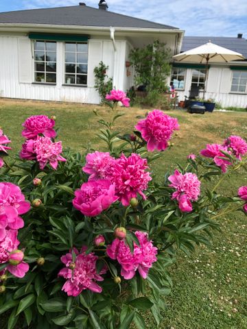 Kanans väg, Ekerö - Foto 2