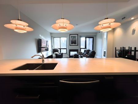 For Lease - 181 James Street Unit# PH4, Hamilton, Ontario - Photo 4