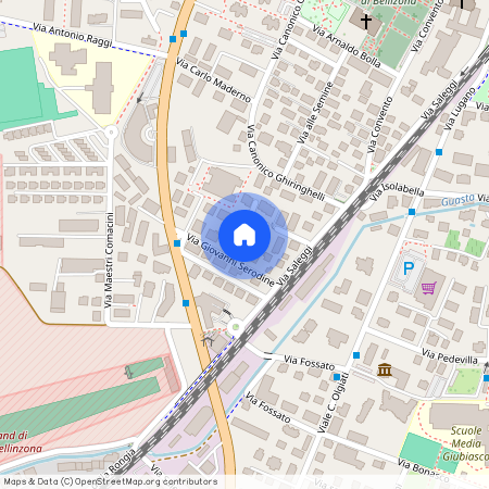 via Serodine 6, 6500 Bellinzona