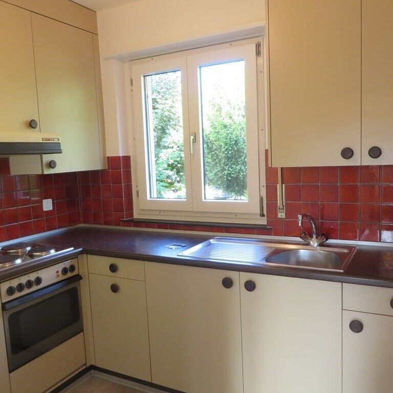 Living by Lake Biel - Photo 1