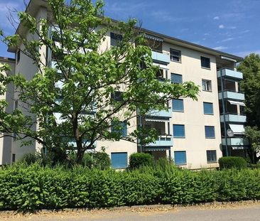 Zentrale 2.5-Zimmer-Wohnung in Dietikon zum vermieten - Photo 2