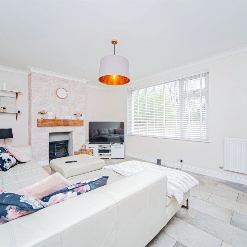 Liquid error: internal - Photo 1