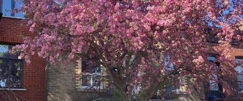 À louer / Appartement - Photo 1