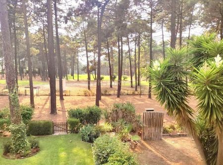 Charneca de Caparica e Sobreda, Setúbal Municipality - Photo 2