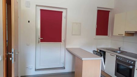 Sonnige Garconniere Pendler/Single/Ferienhit mit Parkplatz - Foto 4