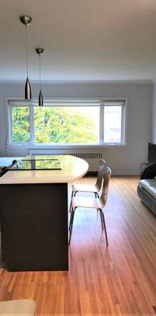 AVAILABLE Nov 1st-Pet Allowed Furnished Studio@ 1540 Haro-RENOVATED - Photo 1