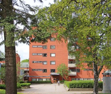 Plangatan 6 - Foto 6