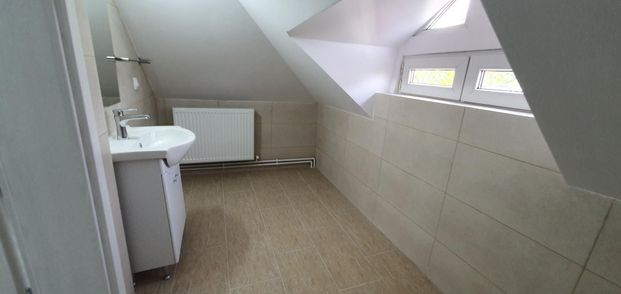 Inchirieri Case / vile Bucuresti - Fotografie 1