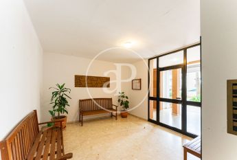 Apartment for rent in Cala Mayor