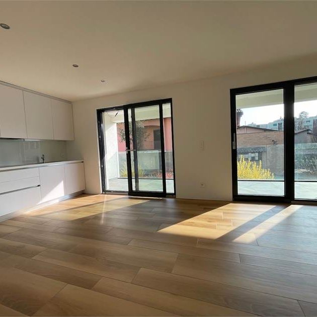 Vacallo, affitto 3.5 locali con terrazzo - Photo 1