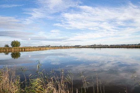 Elise Van Calcarstraat, 52, Heemskerk - Foto 4