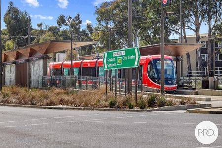 44/217 Northbourne Avenue, Turner ACT 2612 - Apartment For Rent - $510 | Domain - Photo 2