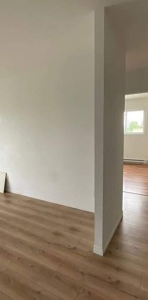 2 CH - 1 SDB - Lévis - $1,150 /mo - Photo 1