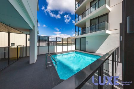 29/260 City Walk, City ACT 2601 - Apartment For Rent | Domain - Photo 2