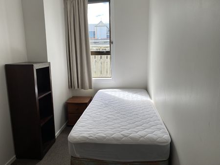 PETONE LIVING - Photo 5