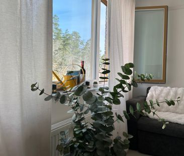 Professorsslingan, Stockholm - Photo 1