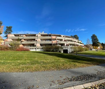 Löftesgränd, Skellefteå - Foto 2
