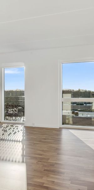 Hollænderen 8, 4. TV - Photo 1
