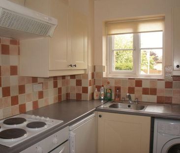 1 bedroom cluster house to rent - Photo 5