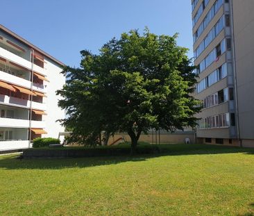 Zentral wohnen am Libellenweg: Gemütliche 2-Zimmer-Wohnung in Lyss - Photo 6