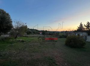 Μονοκατοικία για ενοικίαση - Ωρωπός, - Photo 3