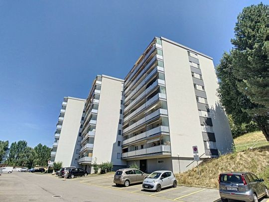 GRAND LOGEMENT SPACIEUX ET LUMINEUX TRES BIEN SITUE - Foto 1