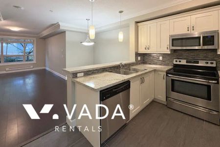 1 Bedroom Apartment For Rent in Surrey - Photo 4