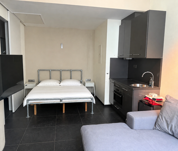 Huis te huur in Antwerpen voor € 1.550 met 2 slaapkamers - foto 3