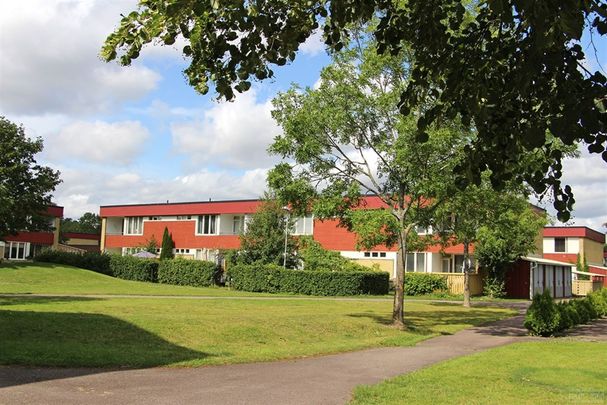 Rydsvägen 178 A - Photo 1